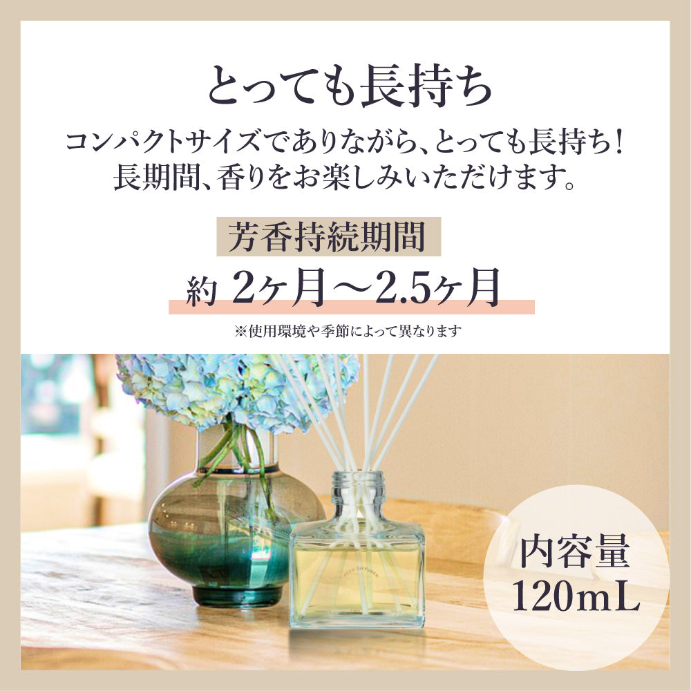おやすみ消臭 リードディフューザー 120ml【ナイティナイト】快眠 睡眠