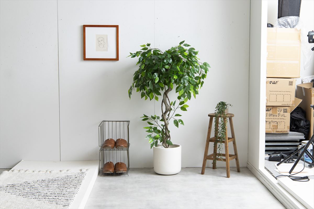 【高さ120cm】Nature 光触媒人工観葉植物 ベンジャミン