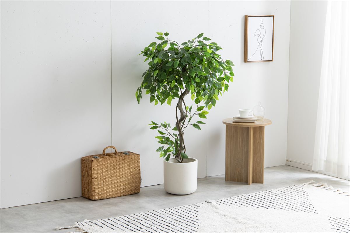 【高さ120cm】Nature 光触媒人工観葉植物 ベンジャミン