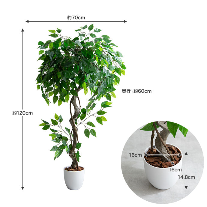 【高さ120cm】Nature 光触媒人工観葉植物 ベンジャミン