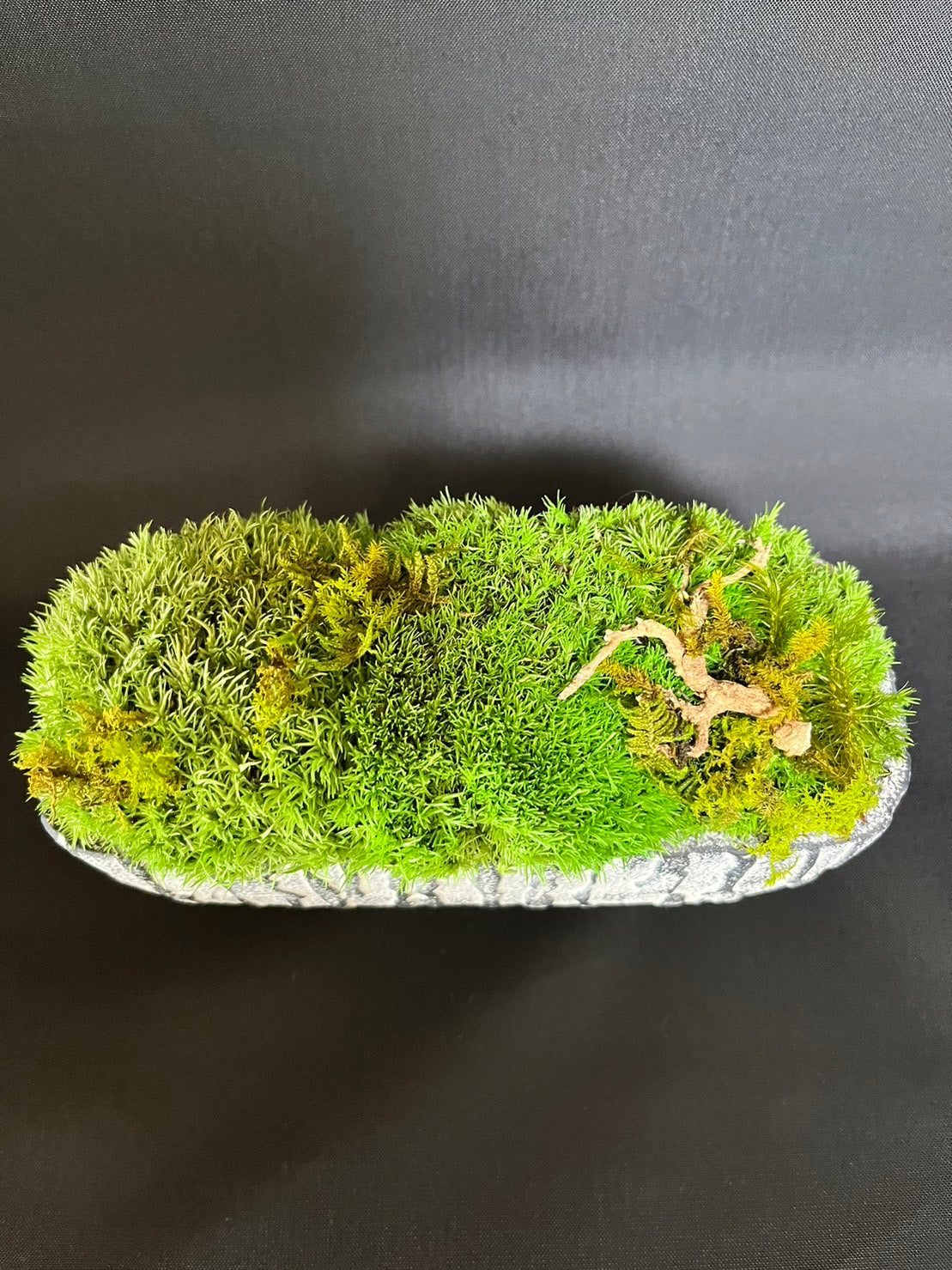 癒しの空間 苔プリザ 枝 陶器