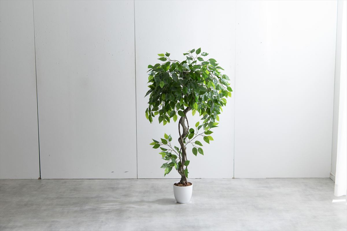 【高さ120cm】Nature 光触媒人工観葉植物　ベンジャミン