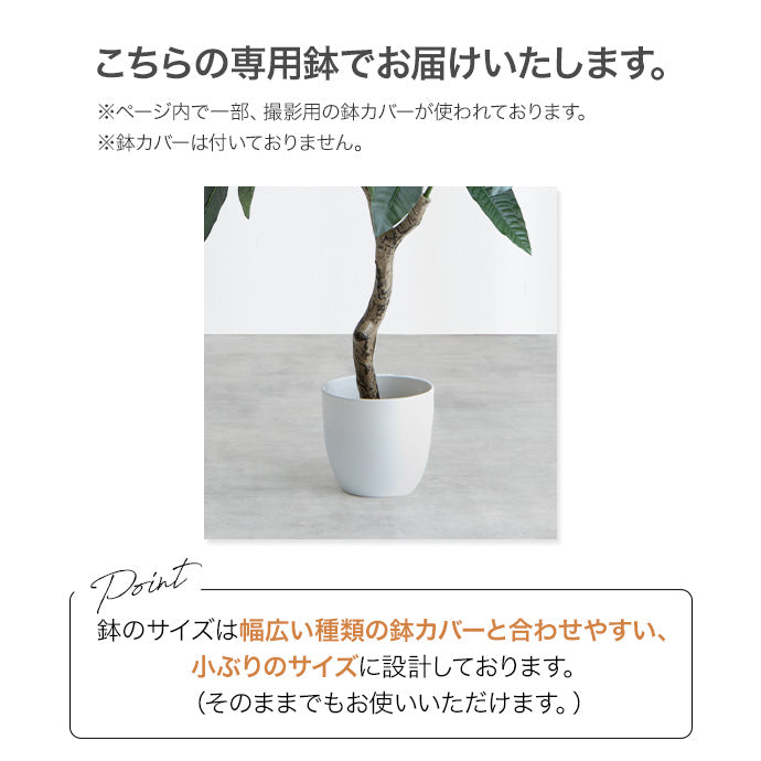 【高さ120cm】Nature 光触媒人工観葉植物　ベンジャミン